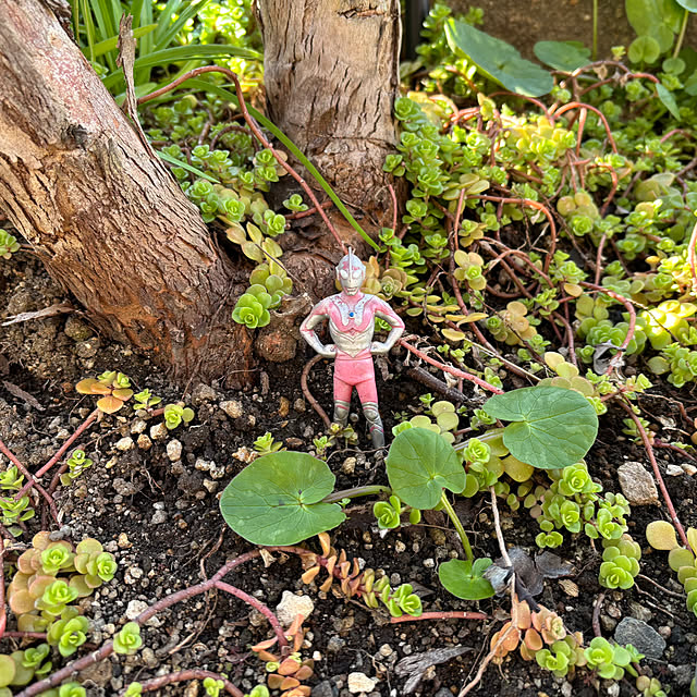 omasaさんの部屋