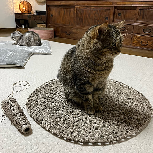 kuuさんの実例写真