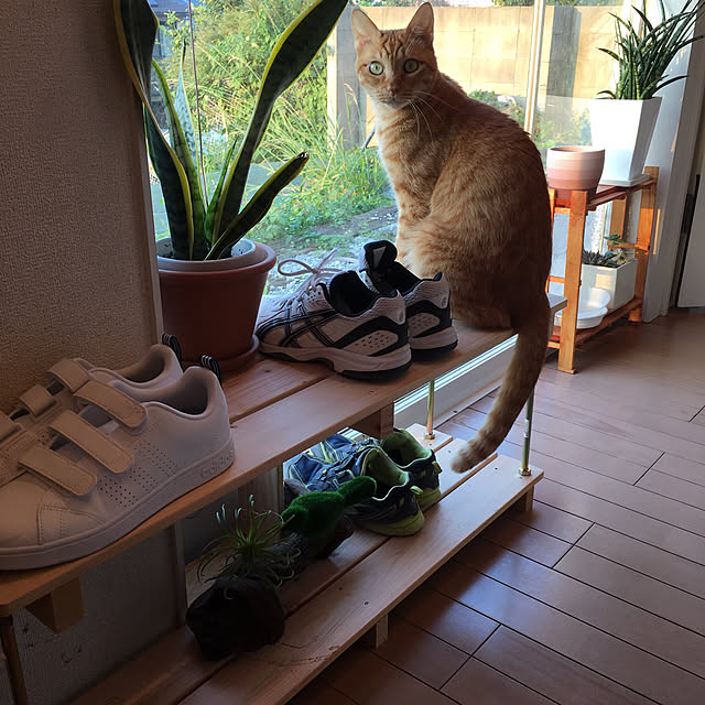 kou-kitiさんの実例写真