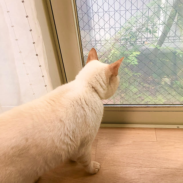 milkさんの実例写真