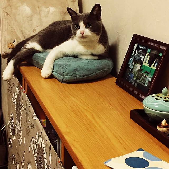 Hakoさんの実例写真