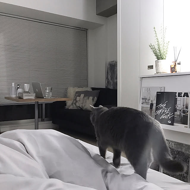 rikaさんの実例写真