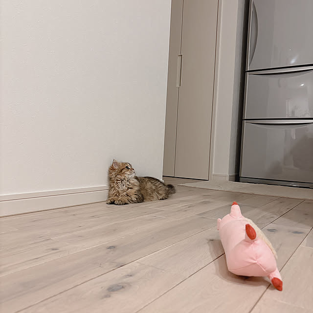 miyu39さんの部屋