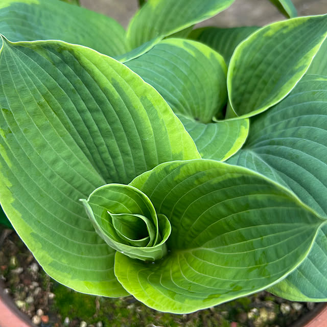 happy-sachiさんの部屋