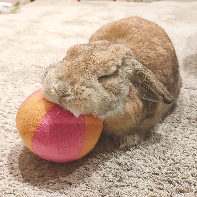 suzuさんの実例写真