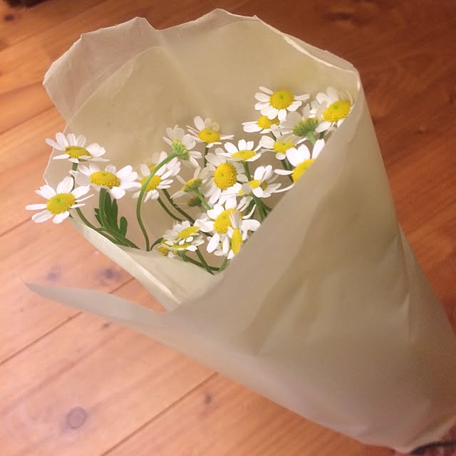 ベッド周り/植物のインテリア実例 - 2015-02-21 18:01:19
