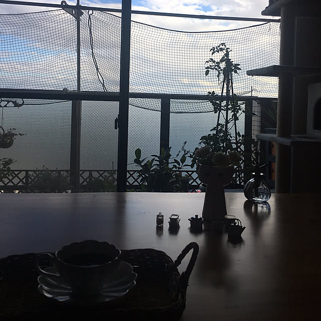 naokoさんの部屋
