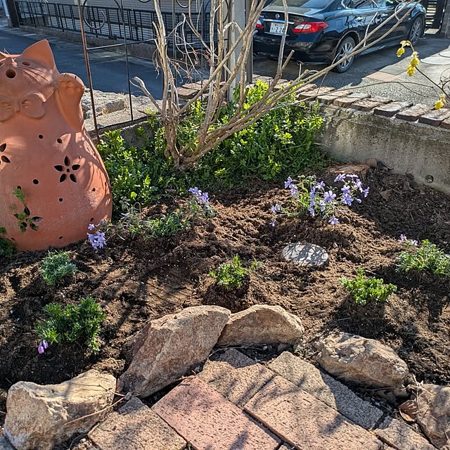 kikufujiさんの部屋