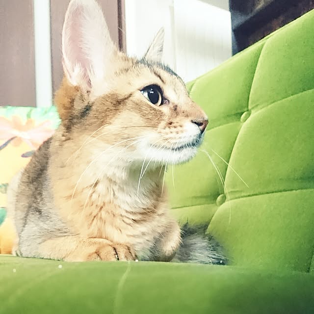 Mitsuruさんの実例写真