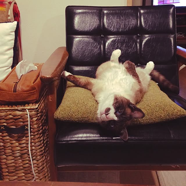 NPGHさんの実例写真