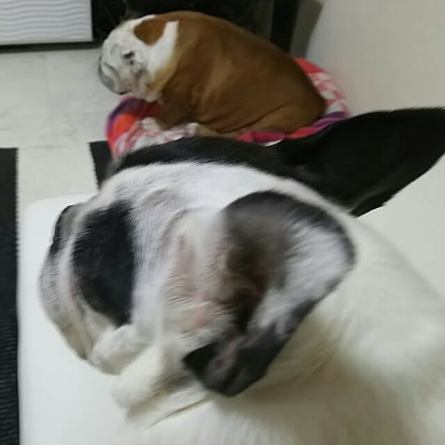 AandPさんの実例写真