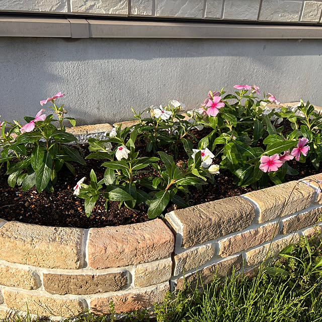 Haruさんの実例写真