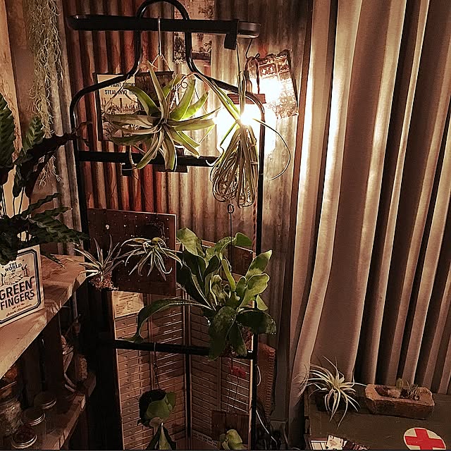 edenさんの実例写真