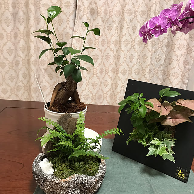 marikoさんの部屋