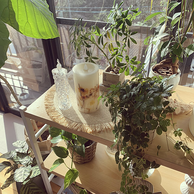 キャンドルライト/シュガーバイン♪/すきな物に囲まれて暮らしたい/植物は癒し/いつもありがとうございます☺︎...などのインテリア実例 - 2022-12-02 09:27:34