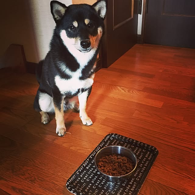 ankoさんの実例写真