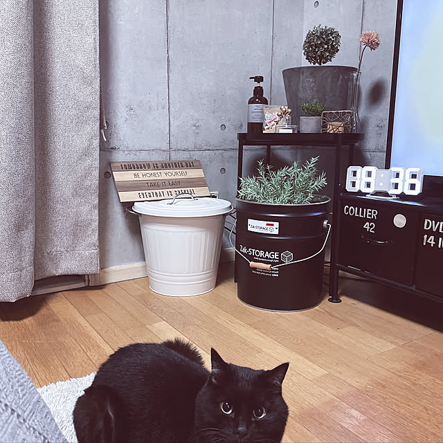 soppiiさんの実例写真