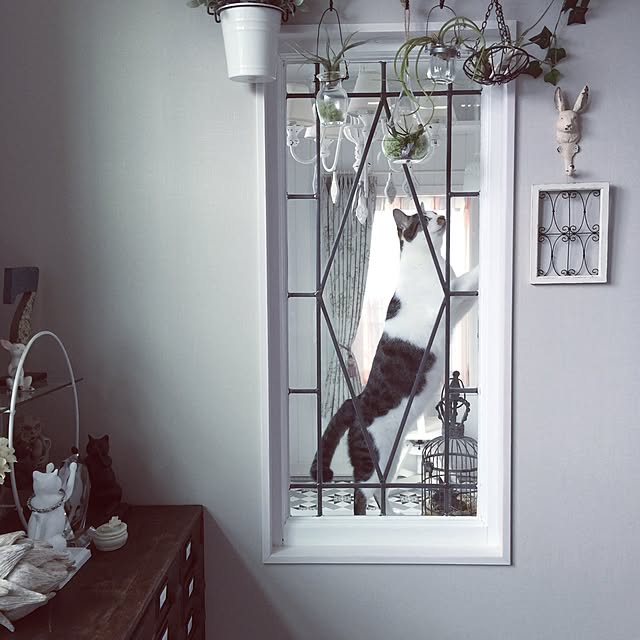 yuchiさんの実例写真