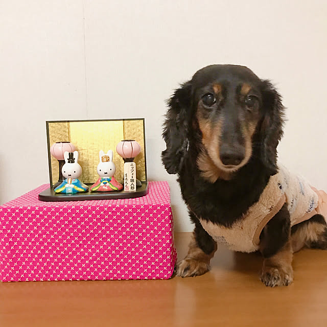 Yukoさんの実例写真