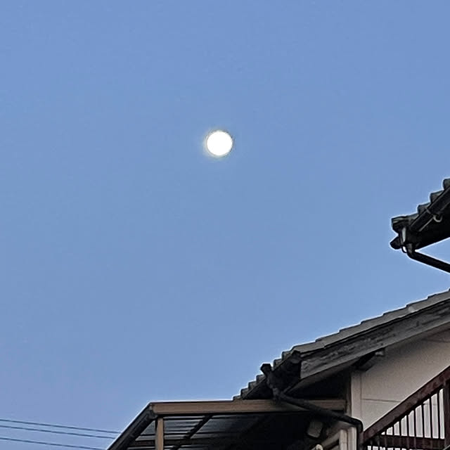 shin0719さんの部屋