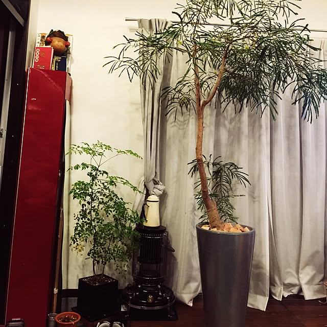 yMacさんの実例写真