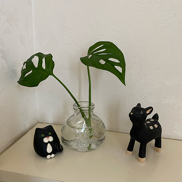birdie0908さんの実例写真
