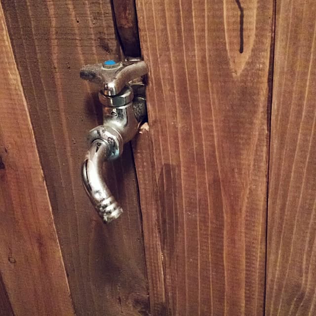 DogGardenBaByBooさんの実例写真