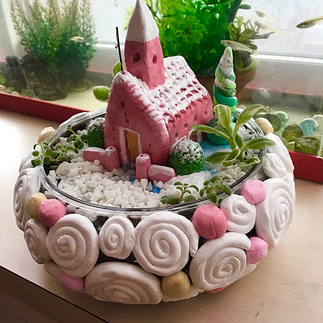 多肉さん初心者/粘土/seria/ダイソー/100均...などのインテリア実例 - 2021-04-03 17:28:24