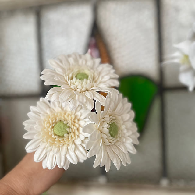 yoko_petitbonheurさんの部屋