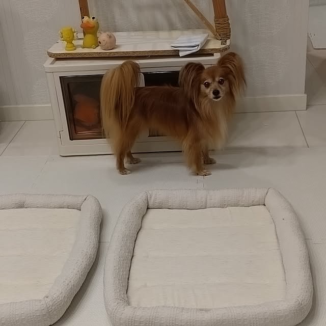toratanさんの部屋