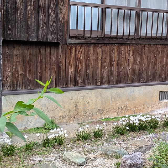 kuririnmamaさんの実例写真