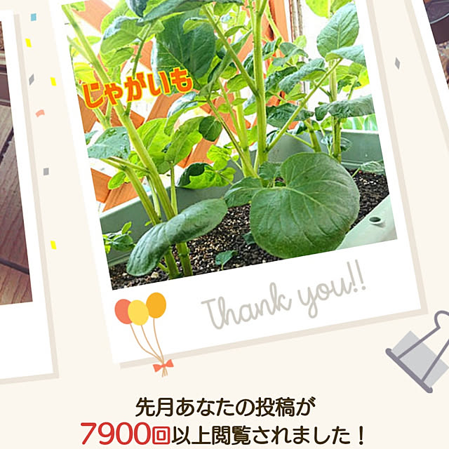 mariaさんの実例写真