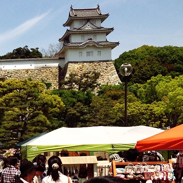 実例写真