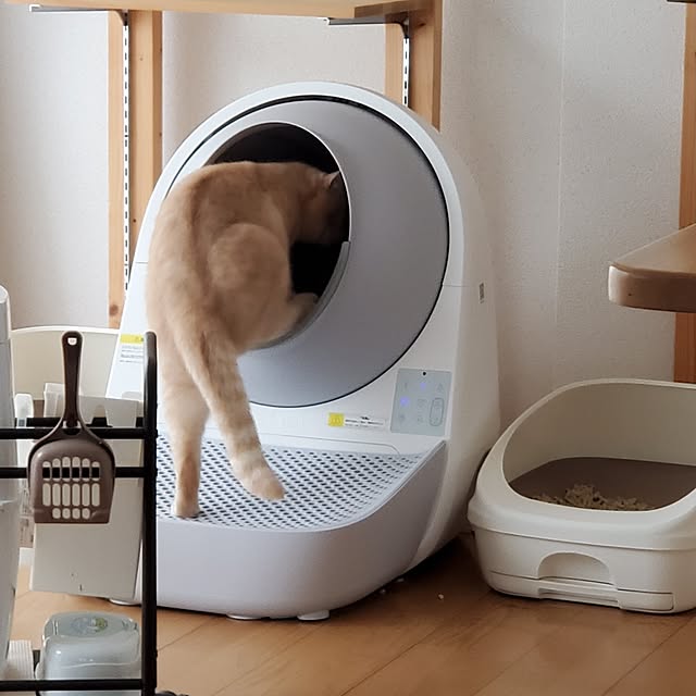 makoさんの部屋