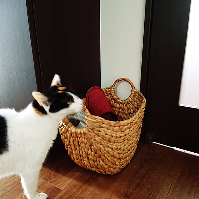 naonyamさんの実例写真