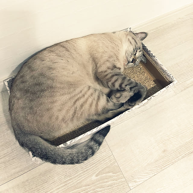 mieさんの実例写真