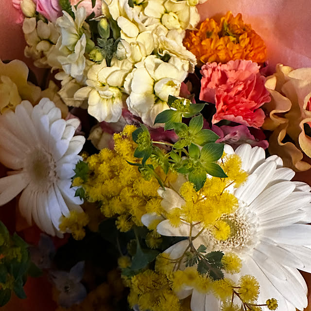 okyame-chanさんの部屋