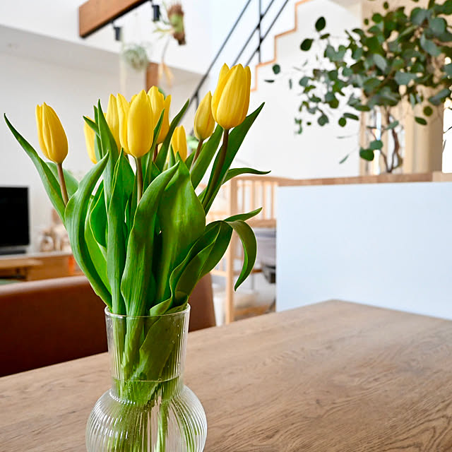 y.tora5さんの実例写真