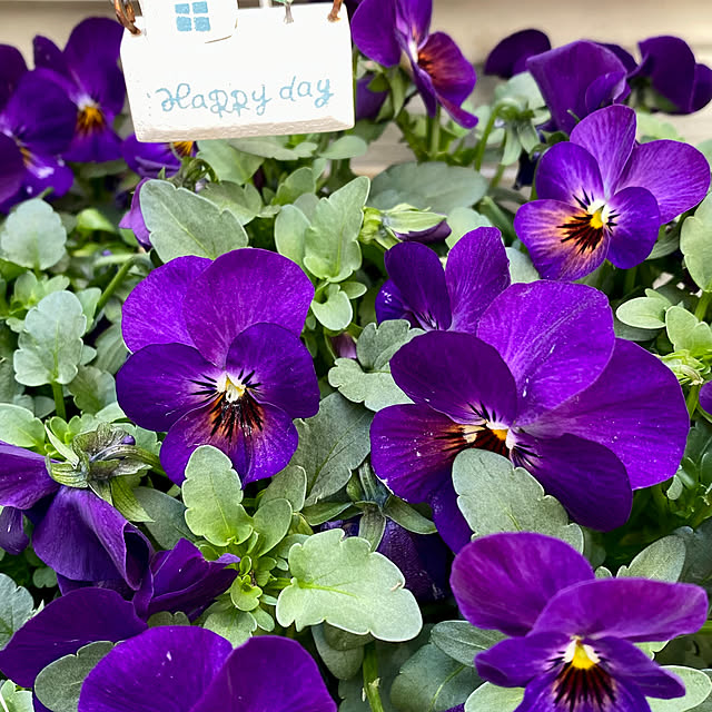 YuuKoさんの部屋