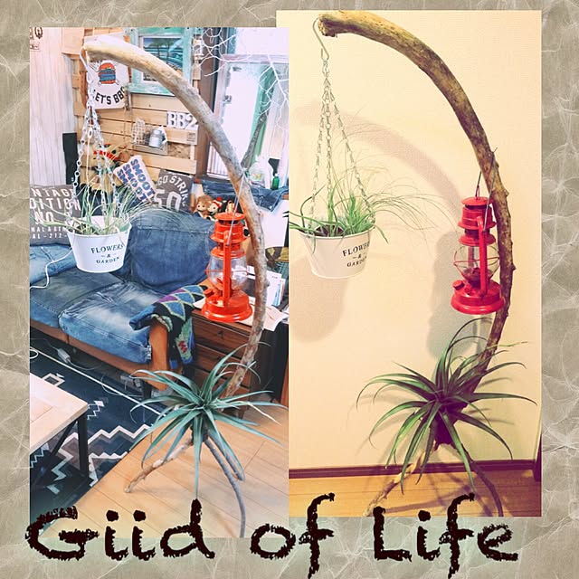 YUMO.Giid-of-Lifeさんの実例写真