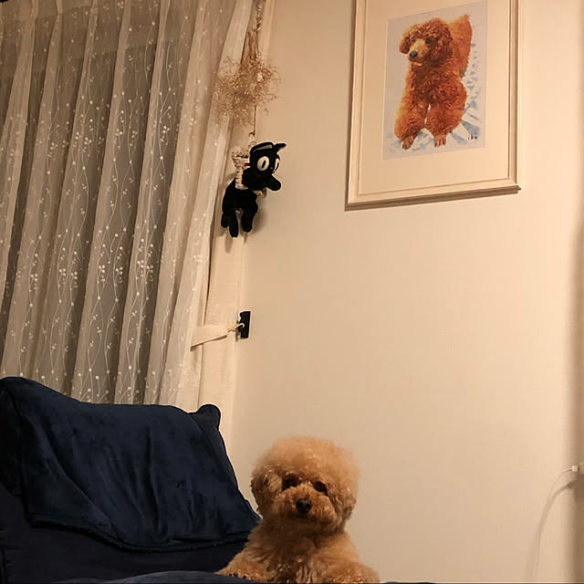 mayonnu22さんの実例写真