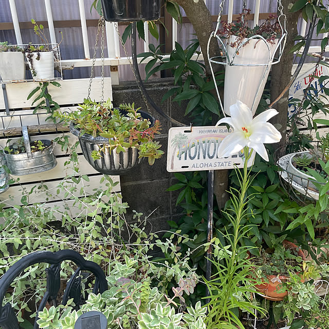 burgundy.roseさんの部屋