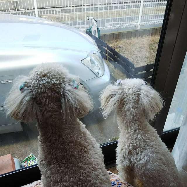 yumirinさんの実例写真