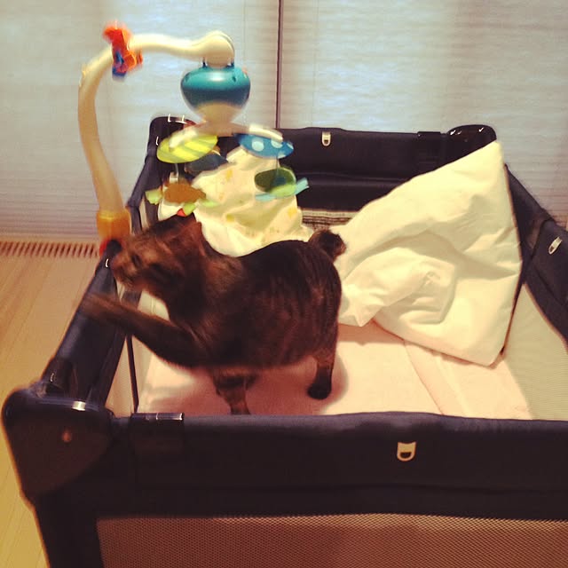 mikanさんの実例写真