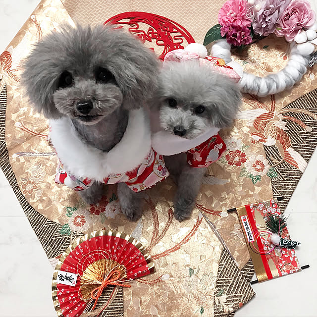 kaoさんの実例写真
