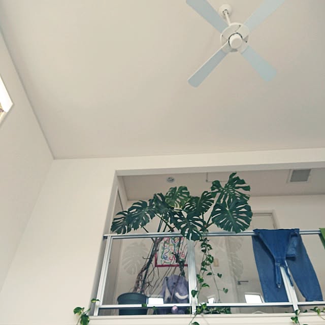 urchinさんの部屋