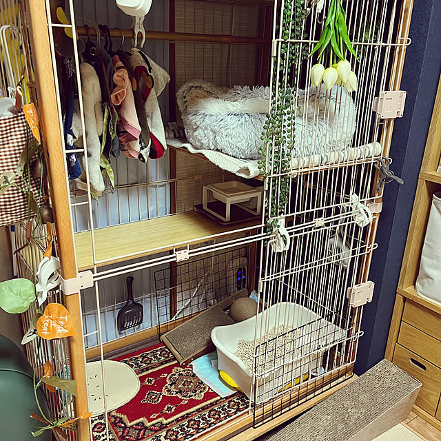 hanaさんの部屋