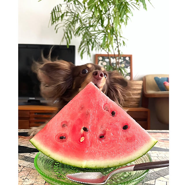 rueさんの部屋