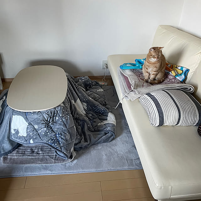 mimikoさんの実例写真