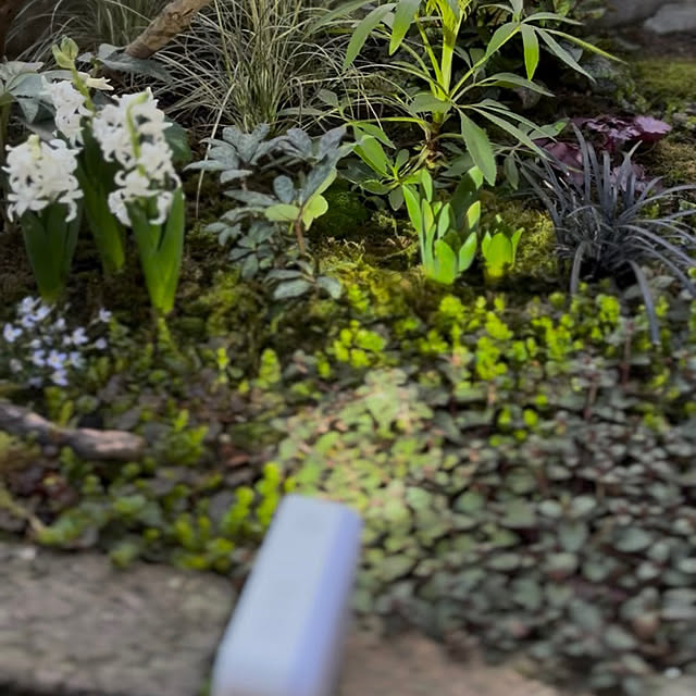 kyoko1124koさんの部屋